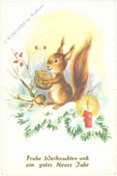 weihnachten: eichhörnchen mit nuss