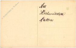 weihnachten: vase mit zweigen