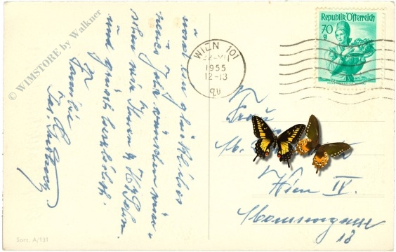 weihnachten: adventskranz