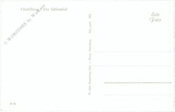 heidelberg, der schlosshof