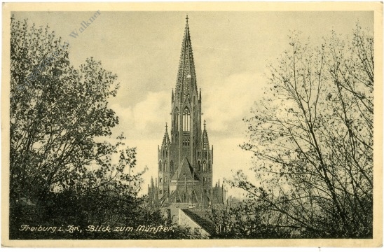 freiburg i.b., blick zum münster