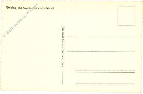 geising, blühender winkel