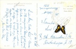 warmensteinach, ortsansicht