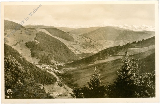 todtnau, blick vom todtnauberg ins wiesental