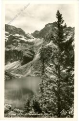 obersee, mit neualmscharte