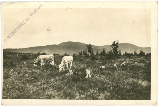 sumava roklan, ansicht