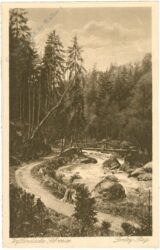 loreley, steg loreley, steg