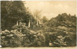 berlin, botanischer garten, blick auf die himalaya gruppe