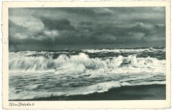 ostseebad zinnowitz, windstärke 9