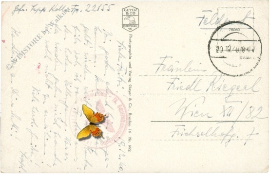 ostseebad sassnitz, ansicht