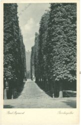 bad pyrmont, bombergallee