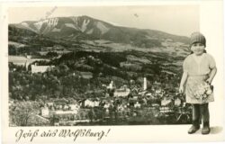 wolfburg, ortsansicht wolfburg, ortsansicht