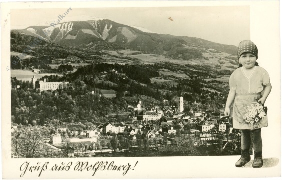wolfburg, ortsansicht