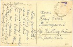 braunschweig, löwe mit gildehaus