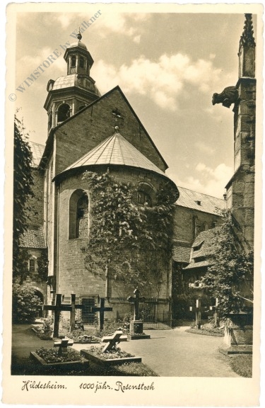 hildesheim, 1000jähr. rosenstock