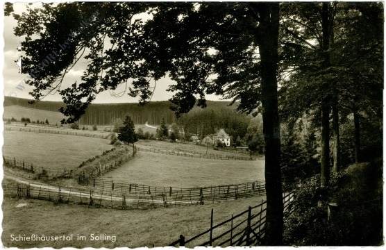 solling, schießhäusertal