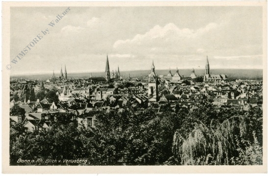 bonn am rhein, blick vom venusberg