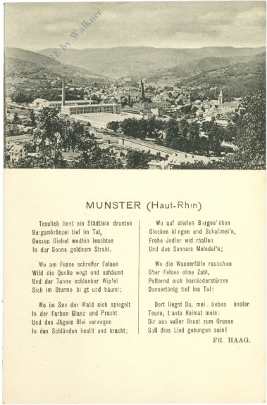 münster, vers
