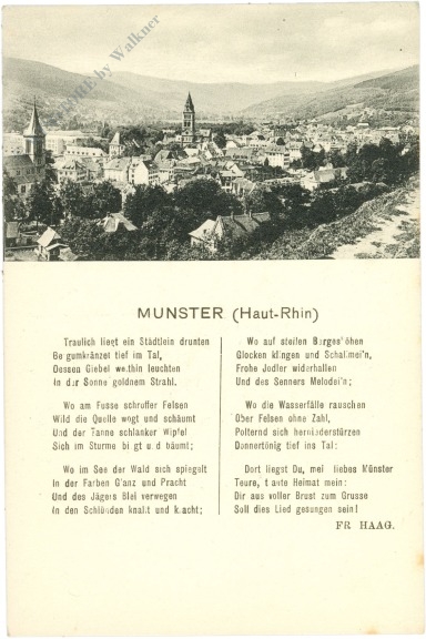 münster, vers