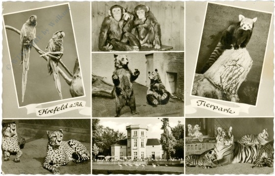 krefeld, tierpark, multiansicht