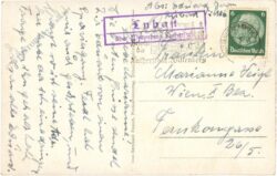 dübener heide, waldschneiße im kiefernbestand