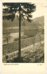 erlbach, ansicht