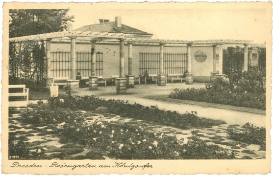 dresden, rosengarten am königsufer