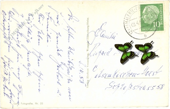 malente gremsmühlen, hote dicksee, multiansicht