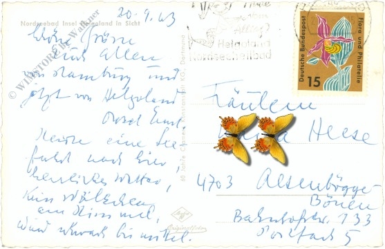 nordseebad insel helgoland in sicht