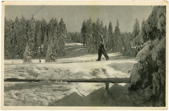 oberhof, skigelände golfwiese