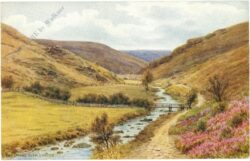 lynton, the doone glen