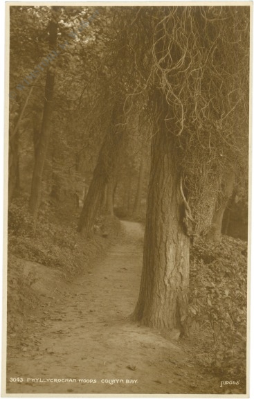 colwyn bay, pwyllycrochan woods