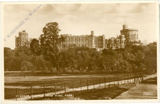 windsor, windsor castle from home park