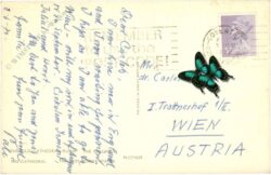 coventry, multiansicht coventry, multiansicht