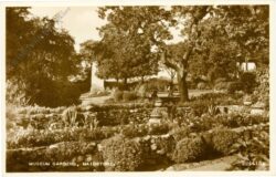 maidstone, museum gardens