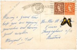 london, trafalgar square