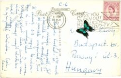 london, chiswick house park, the bridge