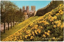 york minster from the city walls