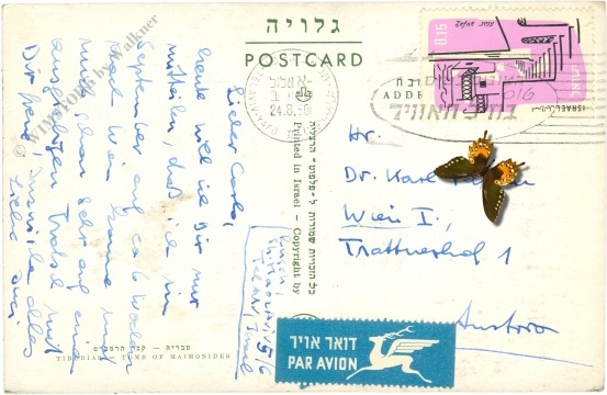 tiberias, tome of maimonides