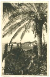 dubrovnik, ansicht