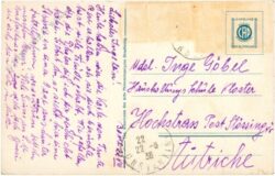 cap bon, une rue dans l'oasis