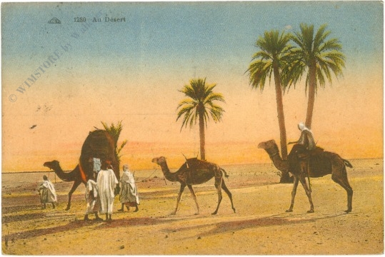 cap bon, ansicht cap bon, ansicht