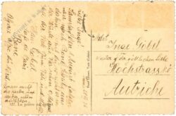 tunis, kamel in der wüste