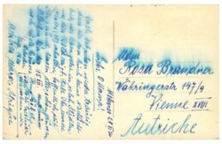 atlas marocain, ansicht