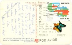 mexico city, la basilica de guadalupe