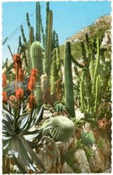 monaco, exotischer garten