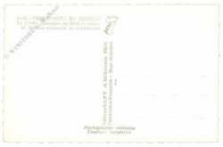 monaco, exotischer garten