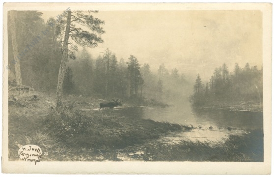 nordland, ansicht nordland, ansicht