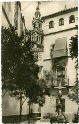 sevilla, santa maria lane
