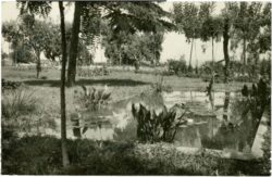masnou, ansicht masnou, ansicht